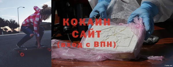 шишки Алексин